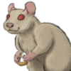 Rat: Beige